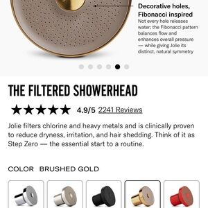 Jolie Gold Showerhead with Filter